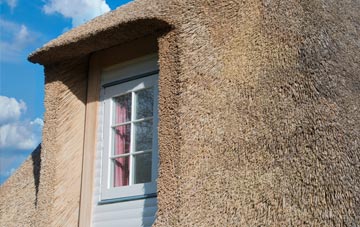 Ancroft thatch roof disadvantages